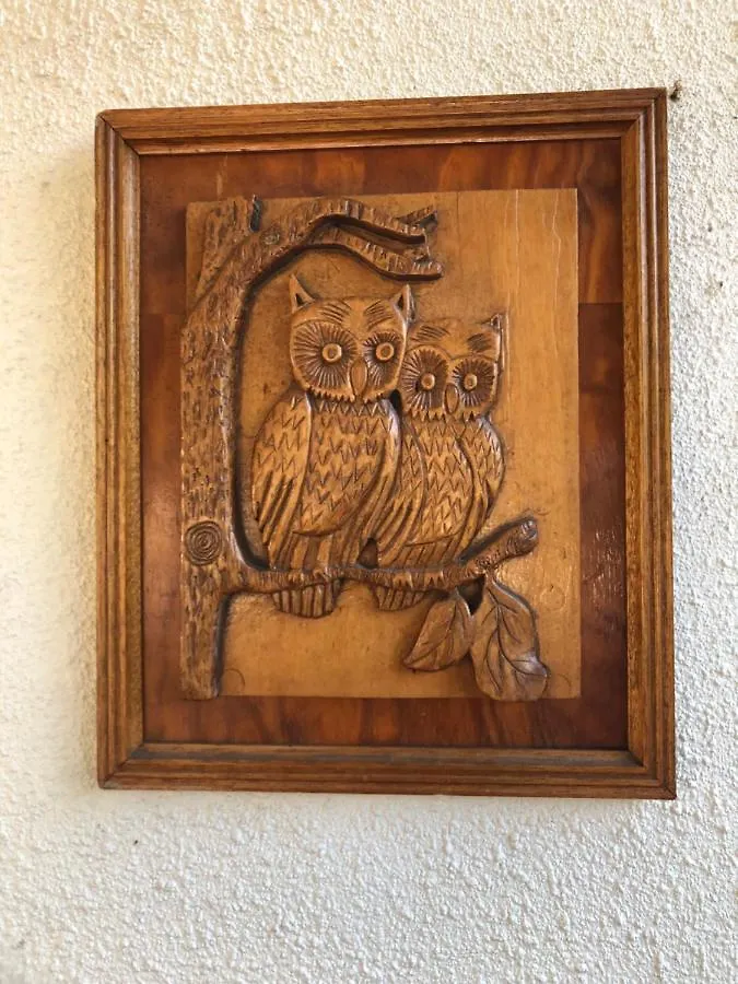 Ferienwohnung The Spotted Owl Kapstadt Apartment